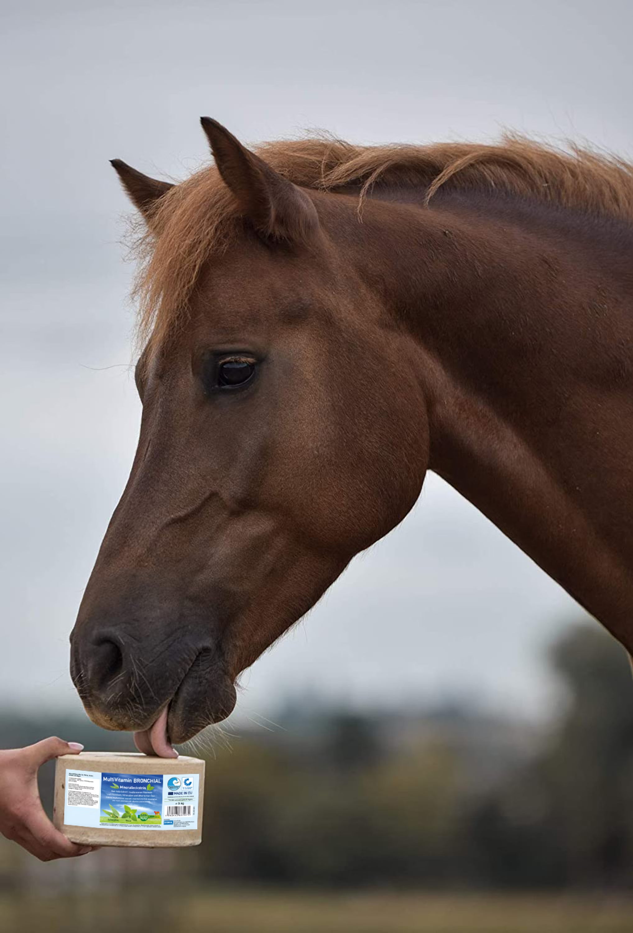 MultiVitamin BRONCHIAL Mineralsten 3 kg