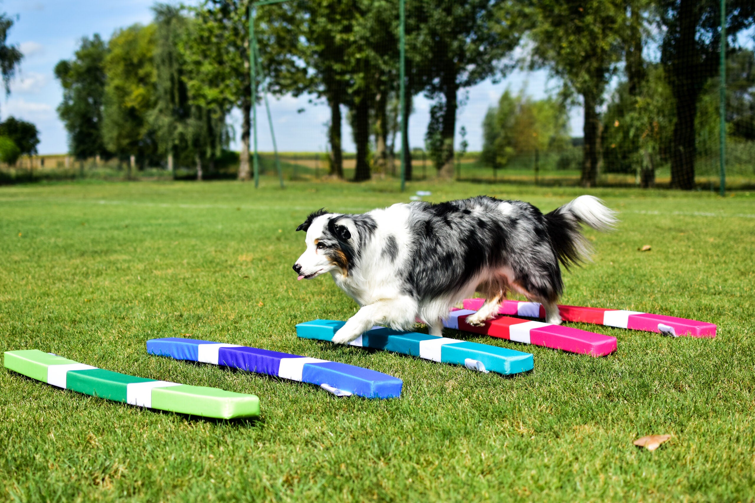 Mini Skumstænger – 110 × 10 × 5 cm 3 stk