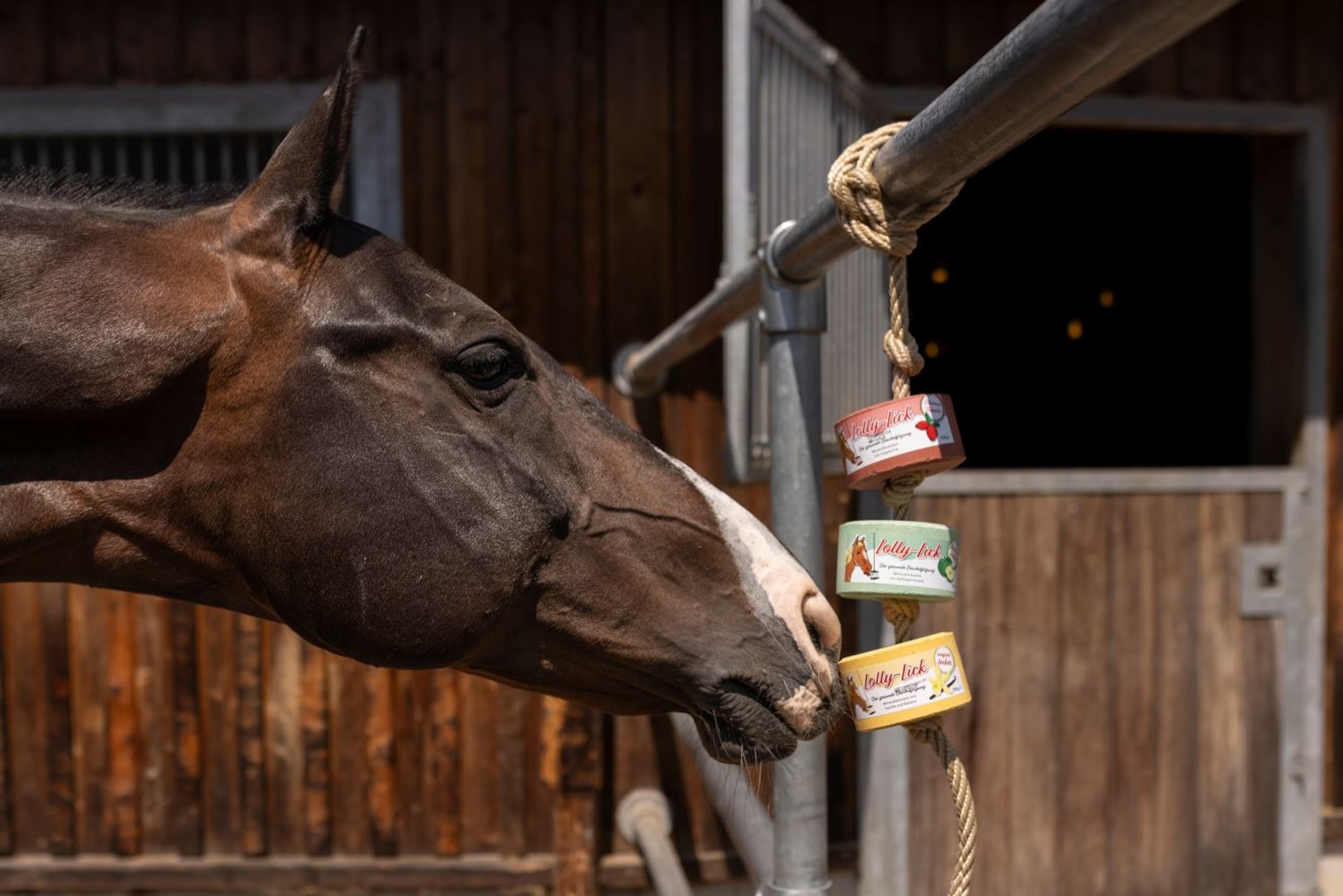 Apple Lolly-Lick 750 g