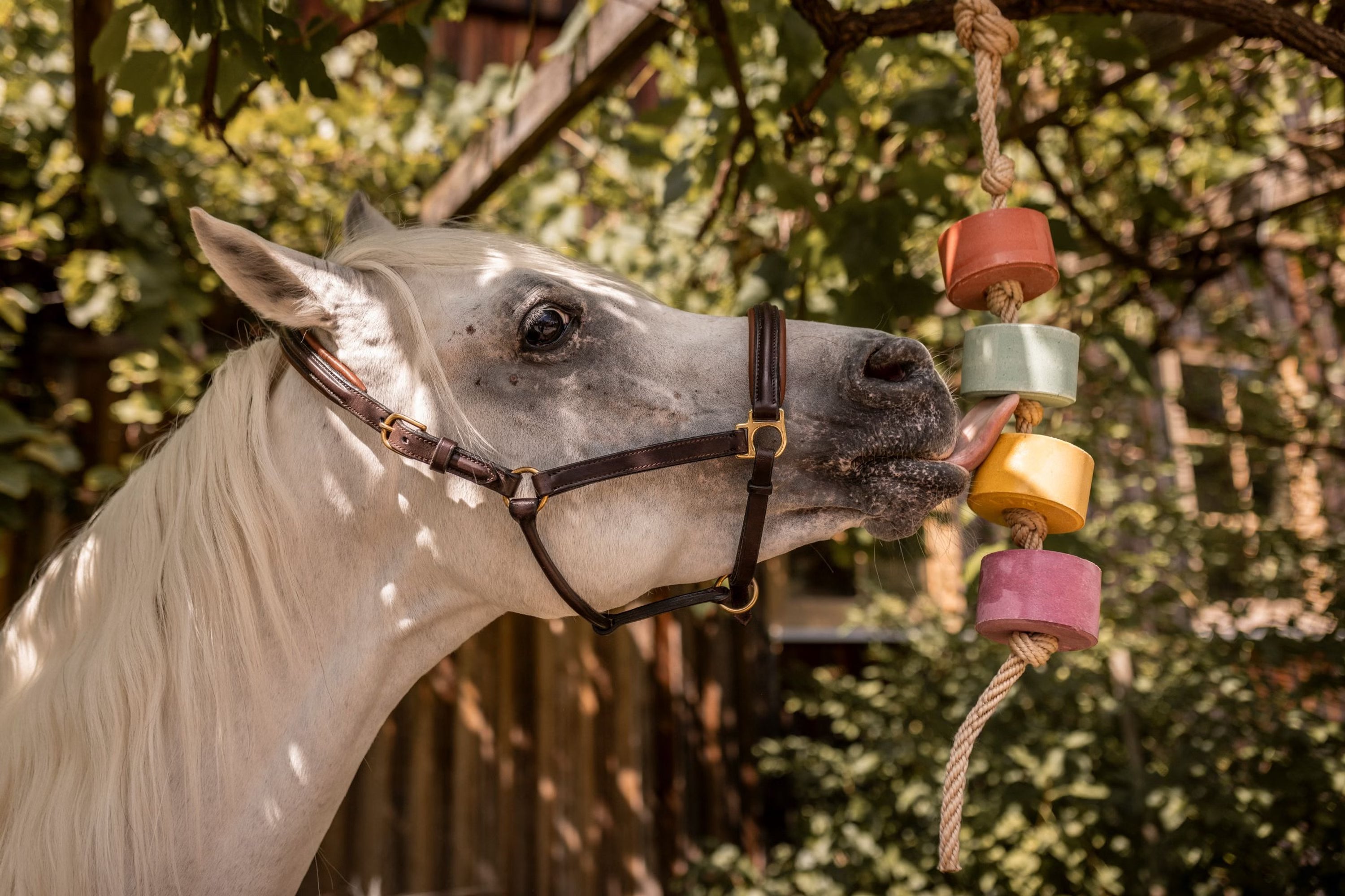 Rosehip Lolly-Lick 750 g