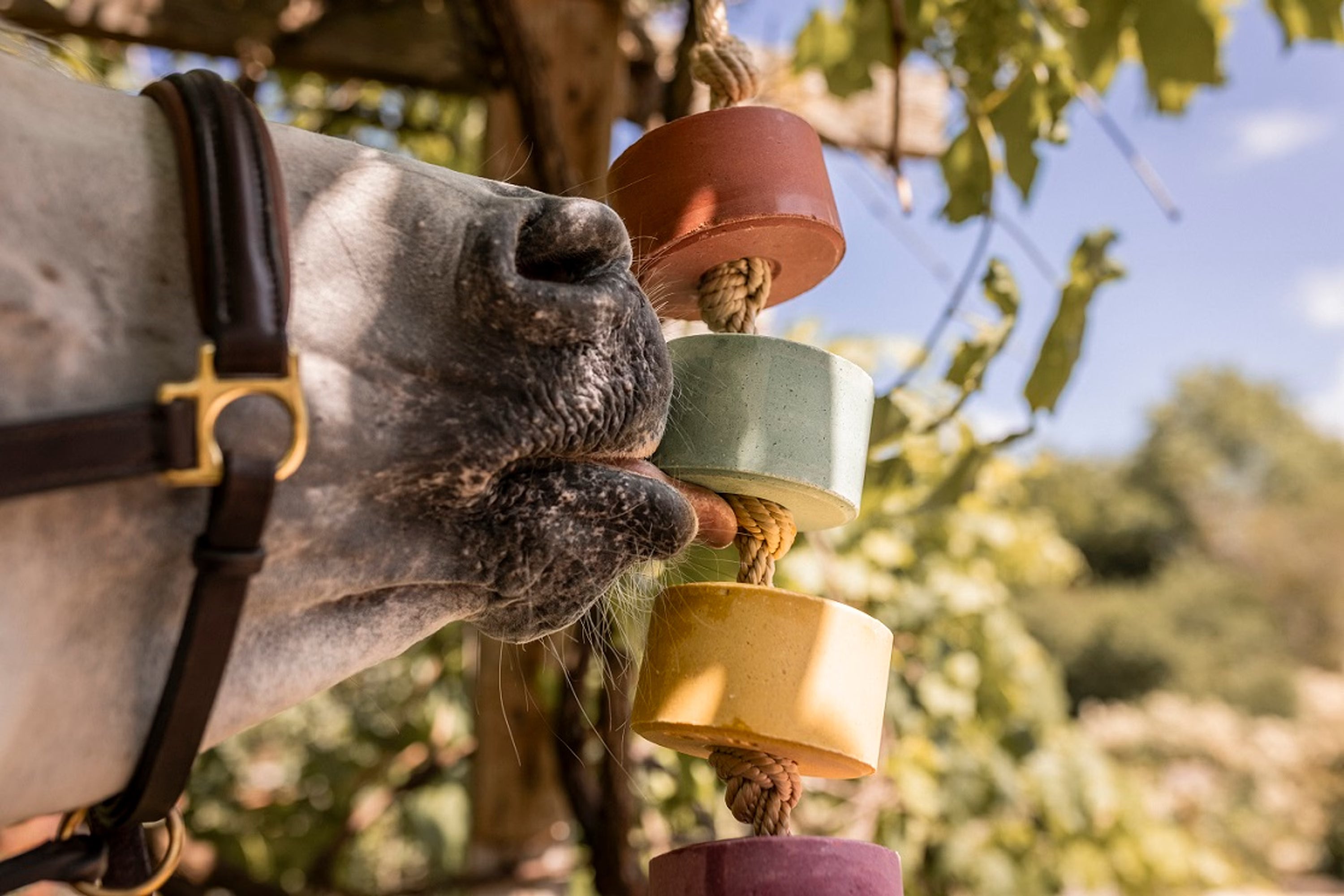 Apple Lolly-Lick 750 g
