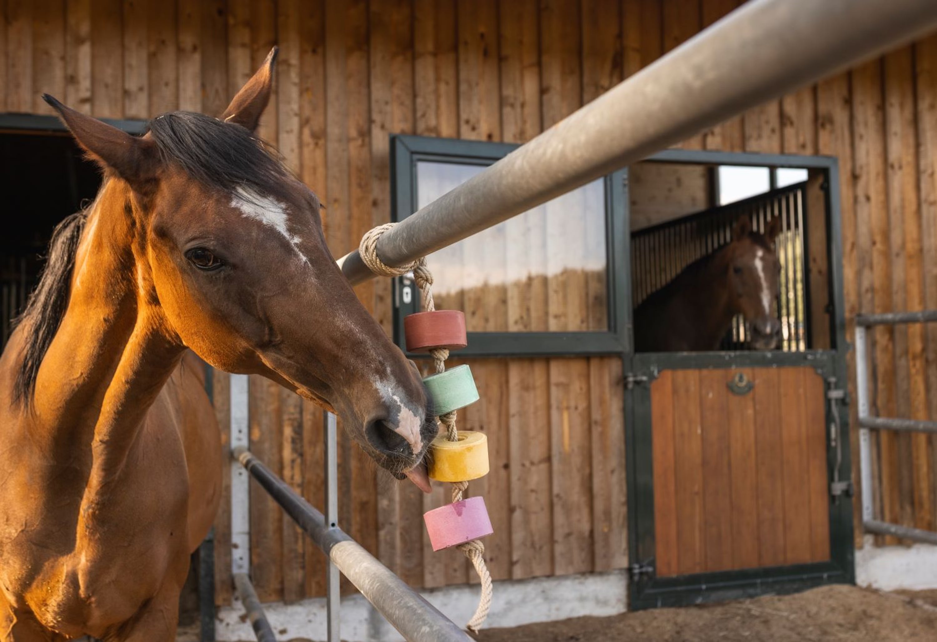 Chamomile Lolly-Lick 750 g
