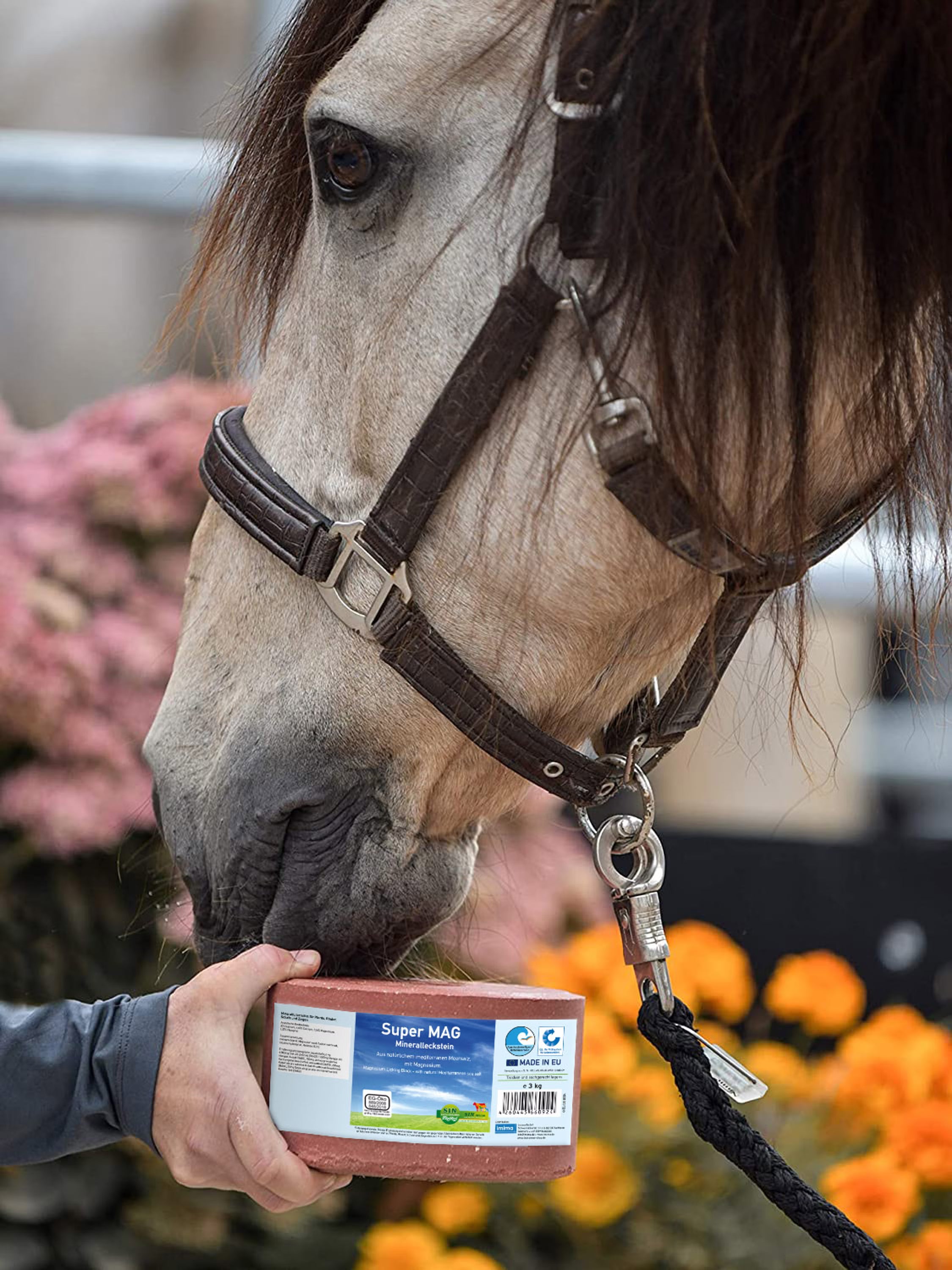 SuperMAG Mineralsten 3 kg