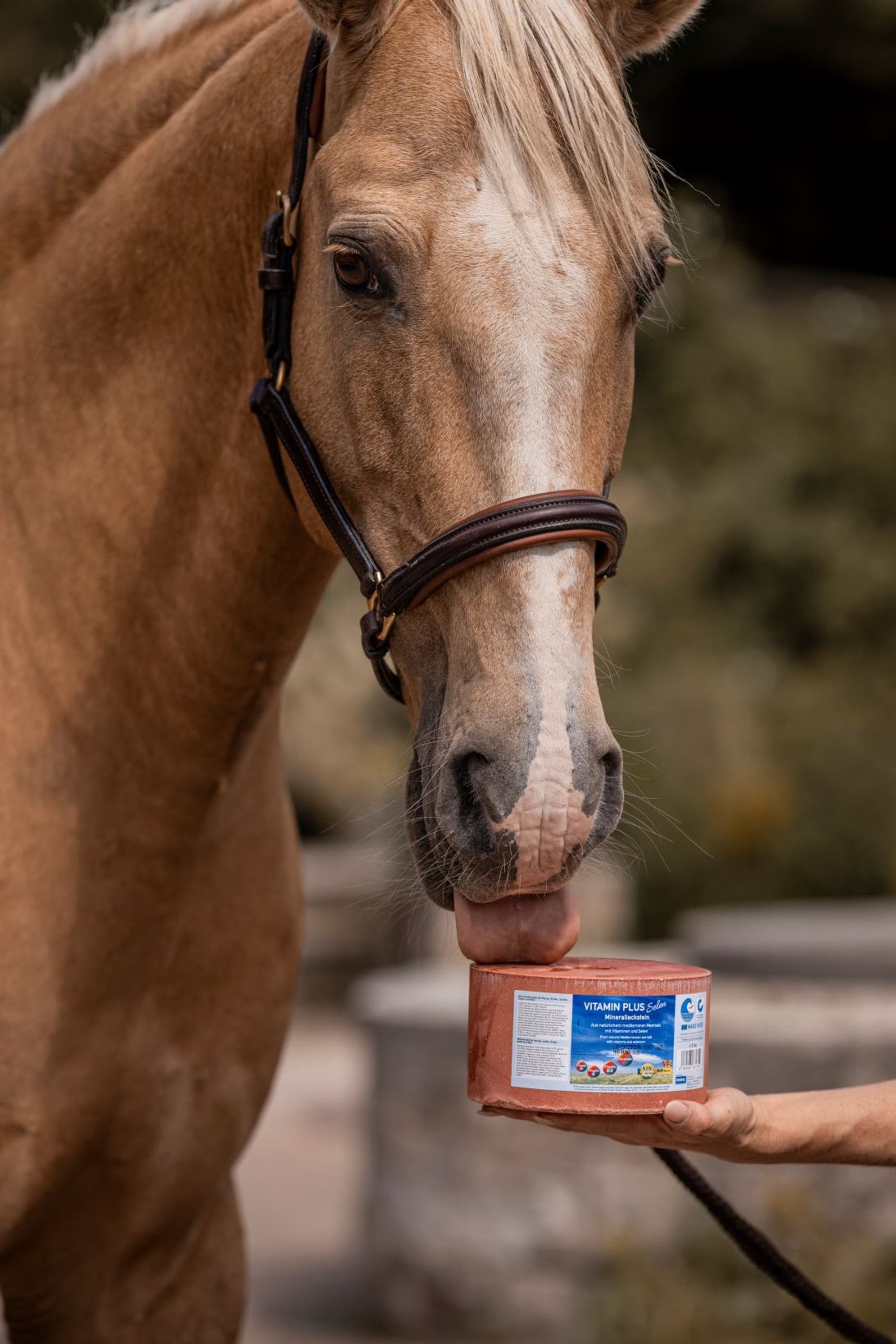 VitaminPlus Selen Mineralsten 3 kg