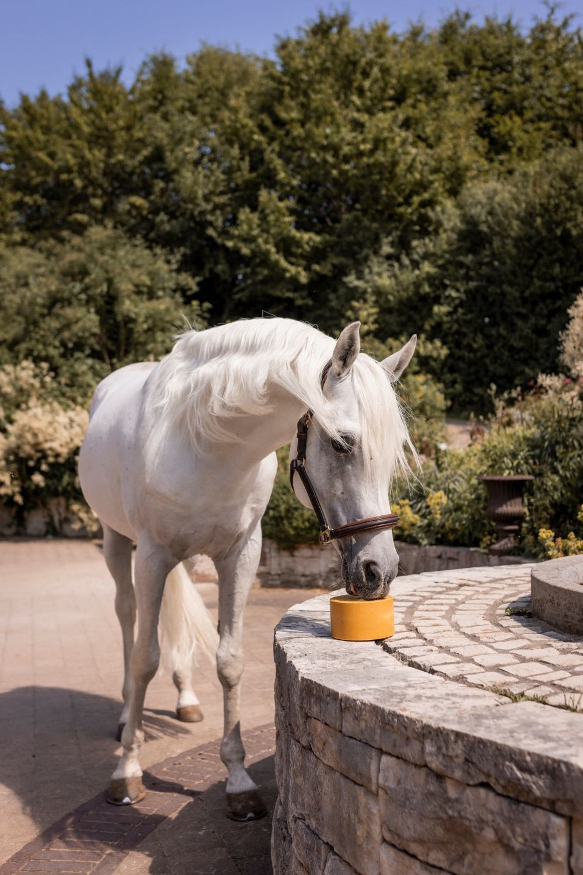 ZINCOBLOCK Mineralsten med Zink 3 kg