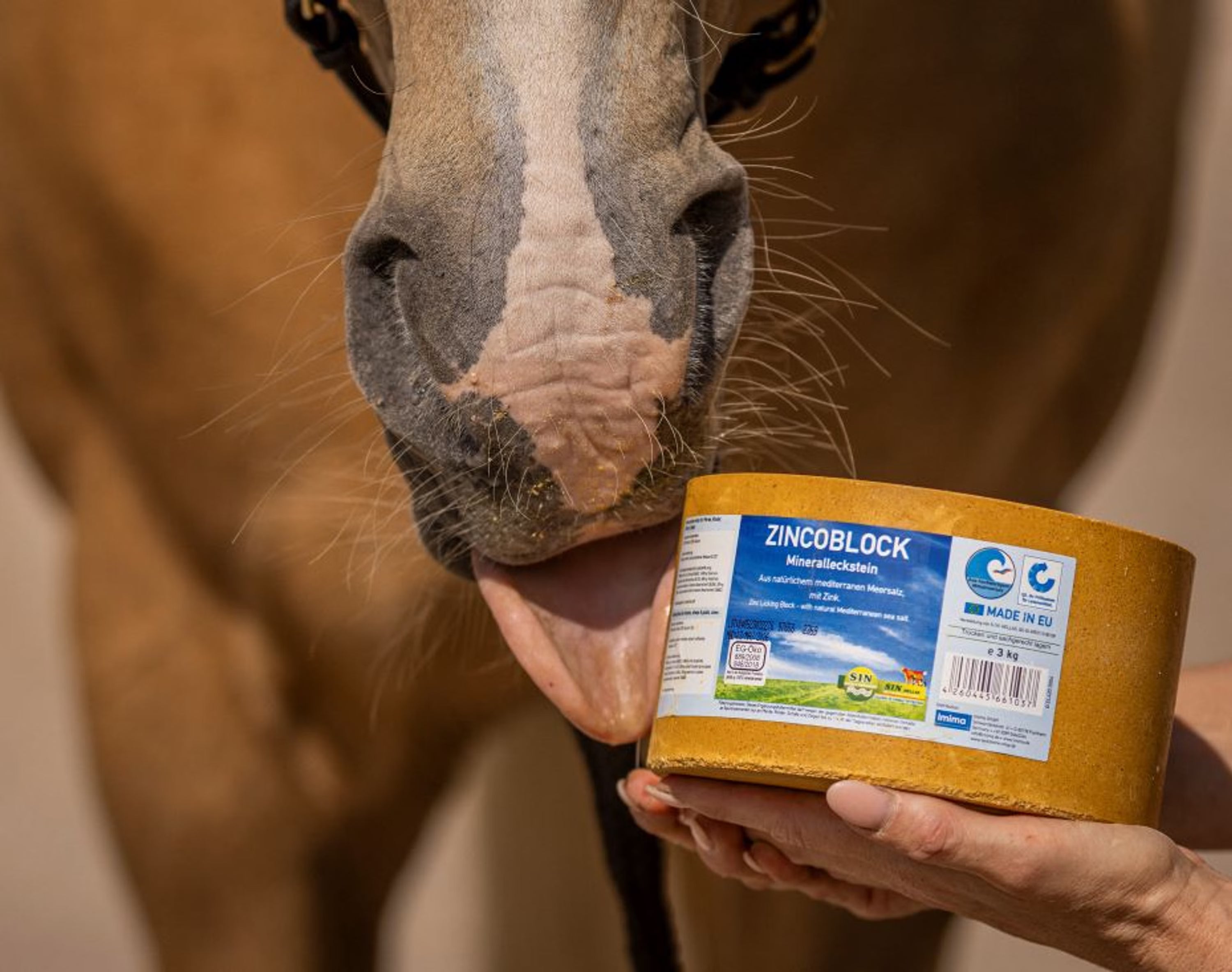 BIOTIN+ Mineralsten 3 kg